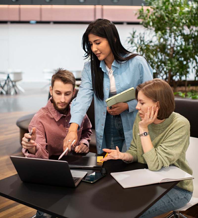 Professional Web Development Team